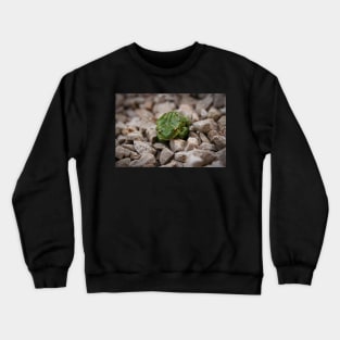 little green frog Crewneck Sweatshirt